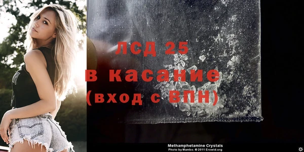 мяу мяу мука Корсаков