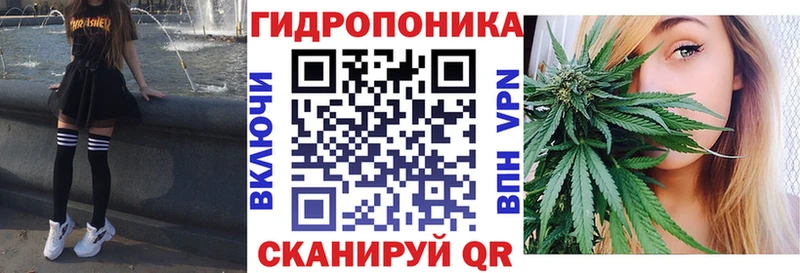 Купить где  Кыштым  МАРИХУАНА Amnesia 